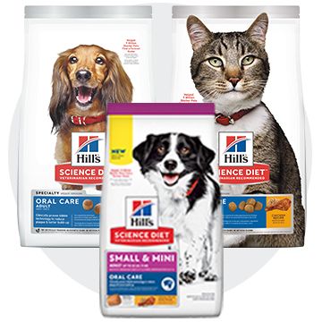 Hills Science Diet Pet Food PetSmart